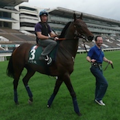 Chinchon returns to Hong Kong<br>Photo by Whistlejacket